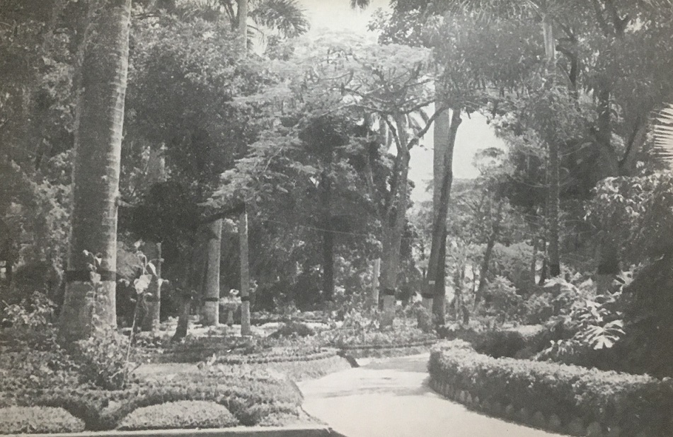 Jardines de El Calvario, 1953