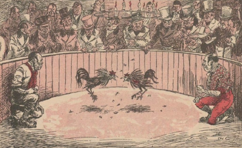 Asegura el Consejero Lisboa que los venezolanos eran apasionadísimos a las peleas de gallos.