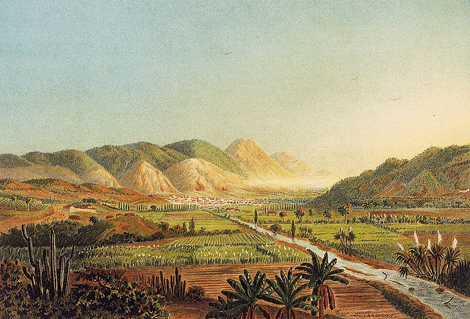 En la provincia de Venezuela, en particular Caracas, existían gran cantidad de haciendas donde se cultivaba la caña de azúcar (Pintura de Anton Goering).