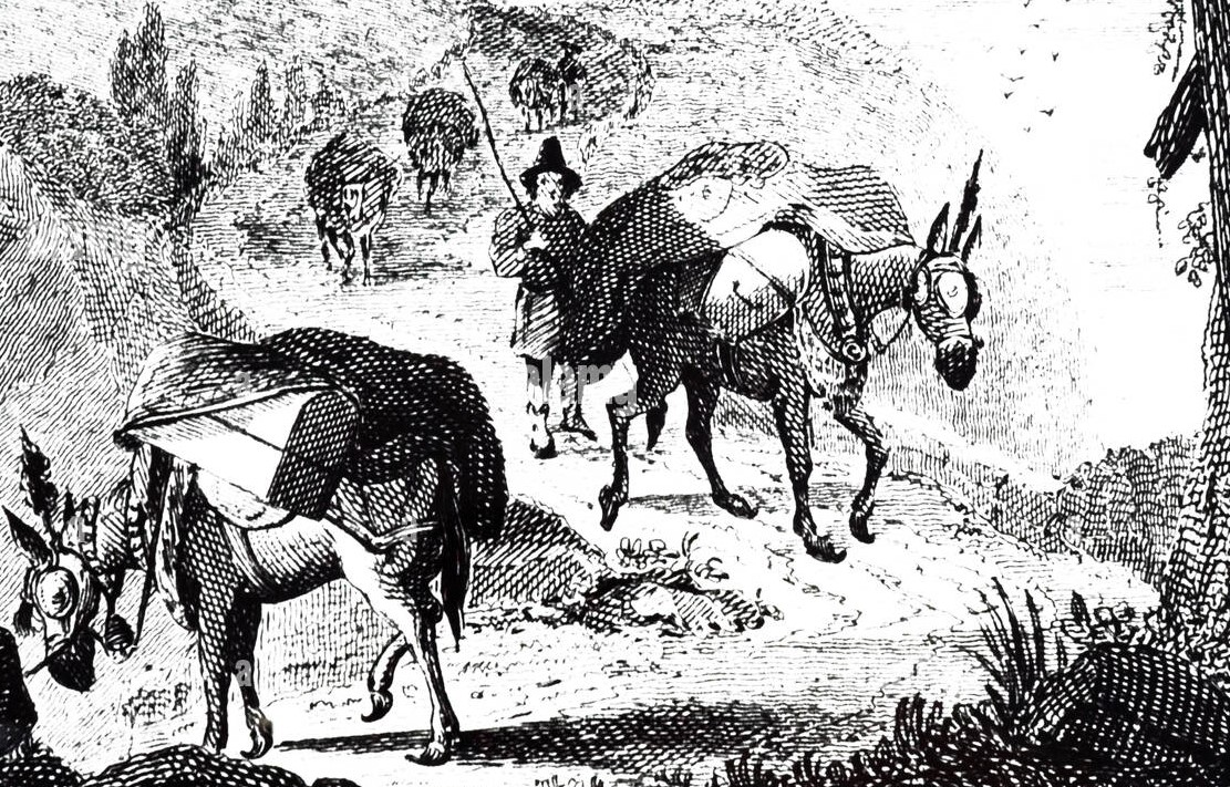 Las mulas eran el principal medio de transporte.