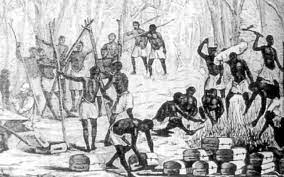 Para Curtis, los africanos en el territorio de Venezuela poseían mayor inteligencia o preparación intelectual frente a los indios.