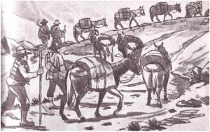 En el siglo XIX, la utilización de los servicios de arrieros para el transporte de mercancías de La Guaira a Caracas, o viceversa, era costoso.